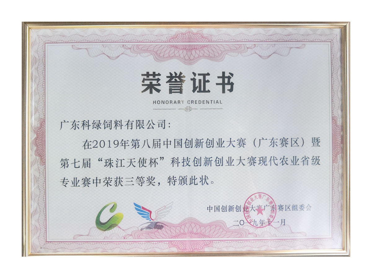 榮譽證書